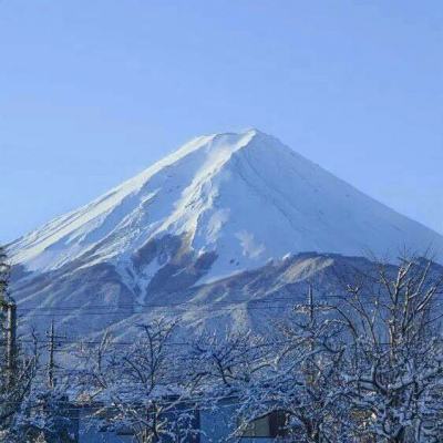 奇妙乐园发明家最新版下载